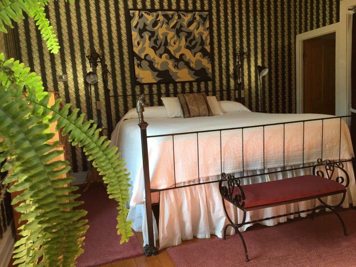 Abe'S Spring Street Guest House 加利纳 外观 照片